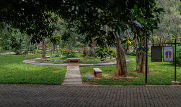 Public Park at Sadashivanagar
